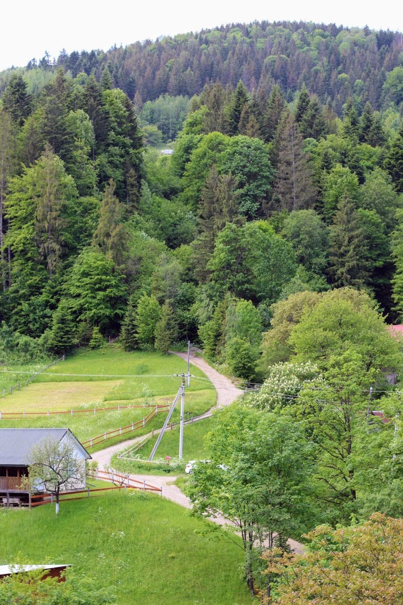 Будиночок Для Щастя Yaremche Exterior foto